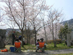 080407hanami