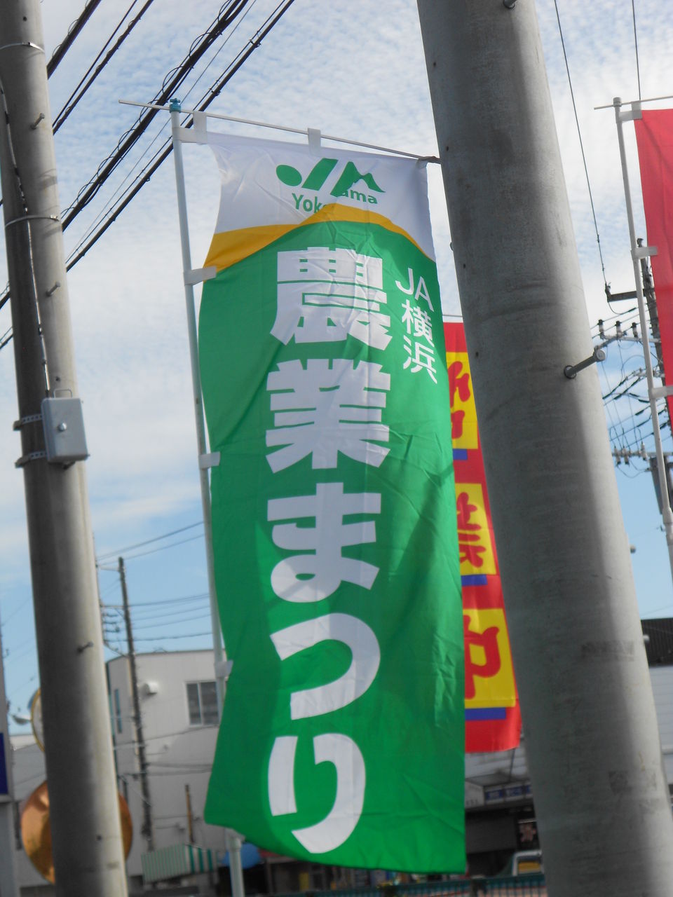 すずめ 釜利谷町ja横浜 農業まつり に行く 金沢支店 金沢文庫支店 合同 こすずめ庵通信 これくしょん すずめ 釜利谷町ja横浜 農業まつり に行く 金沢支店 金沢文庫支店 合同 こすずめ庵通信 これくしょん