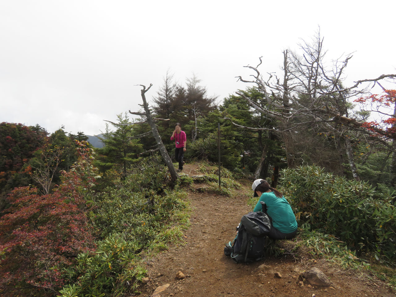 百名山イチ ぢみ な山はほんとうか 皇海山 3 3 イラストレーター コタロー観察記録