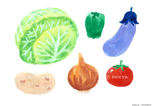 オーガニック野菜のイラスト イラストレーター コタロー観察記録 オーガニック野菜のイラスト イラストレーター コタロー観察記録