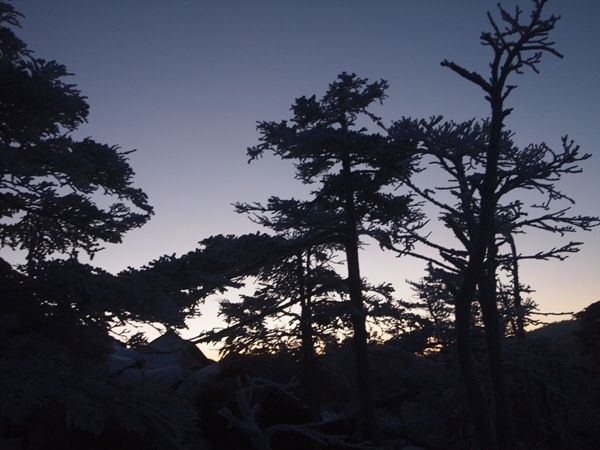 4年ぶりの雪の八ヶ岳 後半 イラストレーター コタロー観察記録