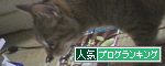 こたろぐ*ただし、なまにかぎる