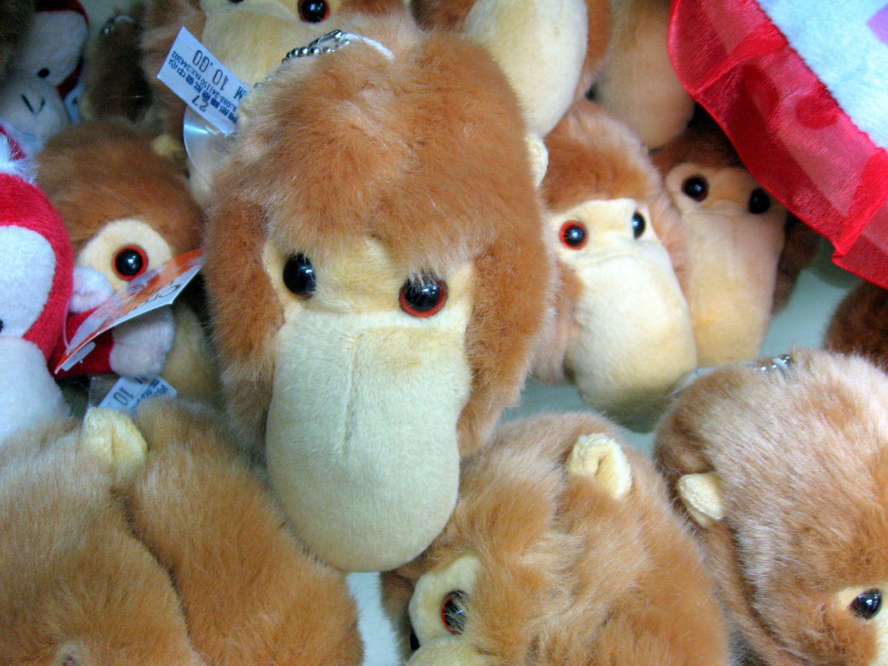 ボルネオ島 コタキナバルのお土産 テングザルのキーチェーン たまの休みは コタキナバル ボルネオ