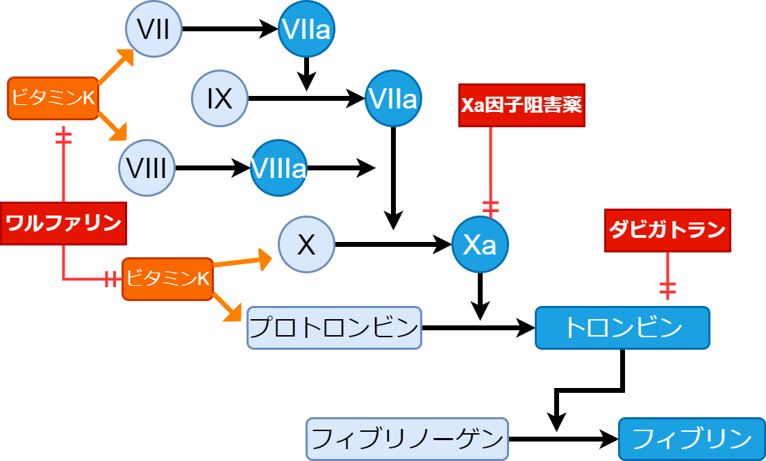 なみさんのにっき
	  抗凝固薬　DOACの違いと特徴
	コメント