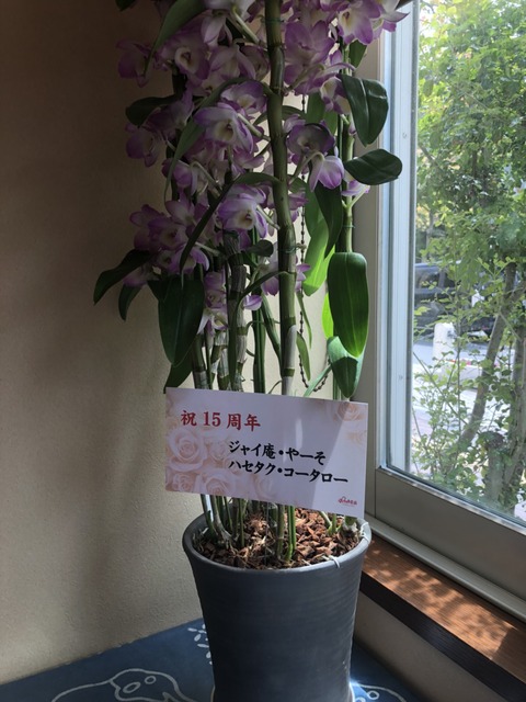 ペニーレーン花