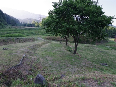 IMGP2812_R