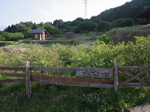 IMGP2825_R