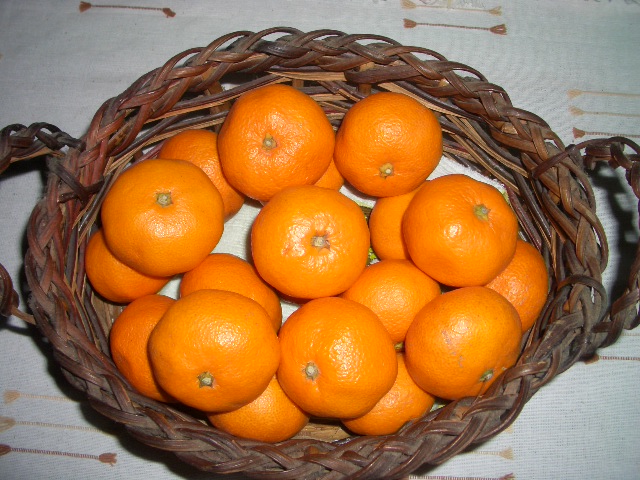 °ì¸«´Å¤½¤¦¤Ë¸«¤¨¤ë¤ß¤«¤ó¤Ç¤¹¤¬¡Ä