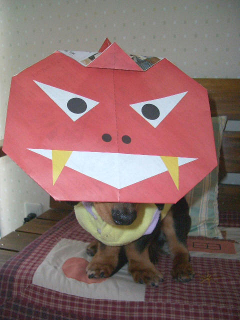 µ´¤µ¤ó¤³¤Á¤é¢ö