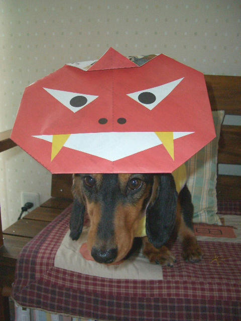 º£Ç¯¤Ïµ´Ìò¤Î¤³¤¿¤í¤¦