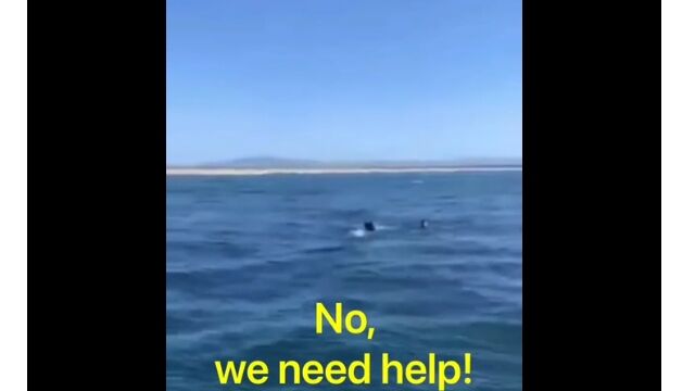 ��������ꤷ�Ƥ������ͤ�����ɺή���10�����2�ͤ�ȯ�����������Ȥ�����߽�����