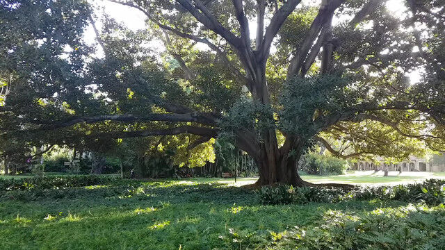 ����Ĺ�����Ӥ����������������ڤλޤ������Ť��Ѥ����ͤƥᥭ�ᥭ�Ȥؤ��ޤ��ִ�