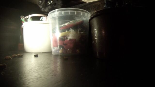 �Ĥ���줿�����Ф�����˿�������ˤ��ܤ줿�����򿩤٤롢ǭ�Υߥå���󡦥���ݥå��֥�