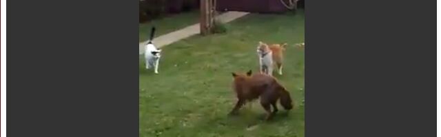 ���������������ĥͤ���ह����ǭ����