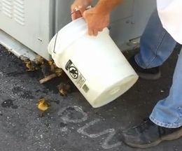 ��������Ȼҳ����꤫������ФƤ���߽з�