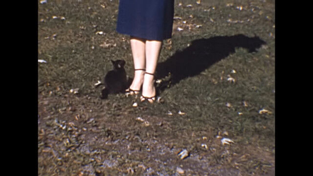 子猫と戯れる母娘を1953年に撮影したヴィンテージ・ホームビデオ