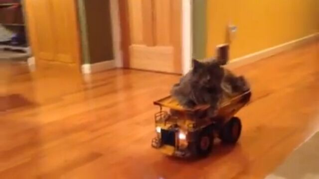 ǭ�����οͤϥ饸�������ץ���������Ȥ�������Ľ�뤫�⤷��ʤ�