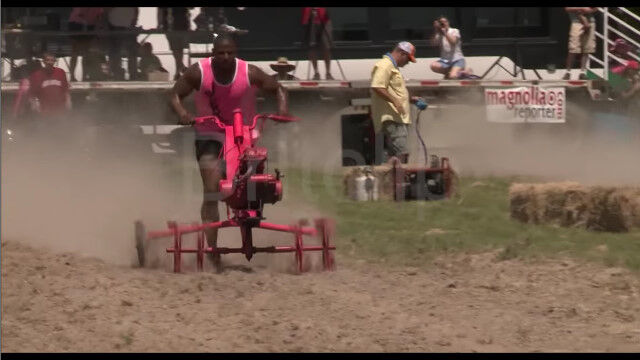 ����ꥫ�ˤϼ겡���̱�������������졼�����٥�Ȥ�¸�ߤ���