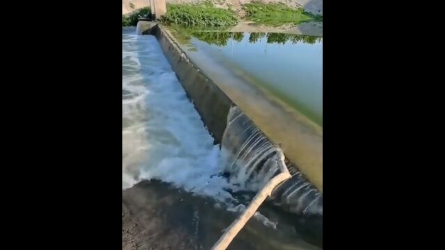 ��˿����ȡ��夬Ϣ�������Ѳ������Ի׵Ĥʸ���