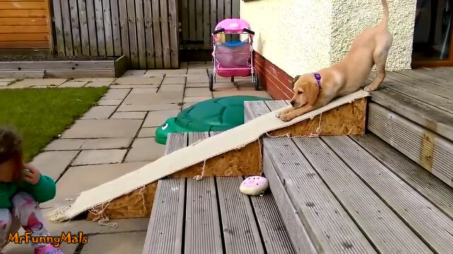 ���Τ��Ф�Τ������Τ�ڤ�����������ͷ�ָ������α�����