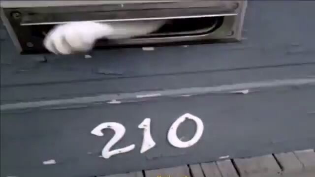 ͹ʪˤޤä顣ȡƱ˷㤷åǭ