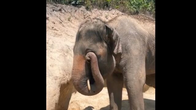 ʹ֤Ʊ褦ˡܤ򥰥ꥰ껤⤢