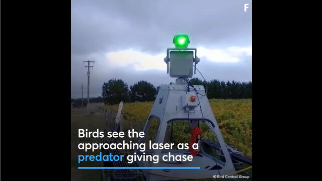 1.6キロ先まで届くレーザーで鳥を追い払う。鳥害を防ぐレーザー監視システムが凄い