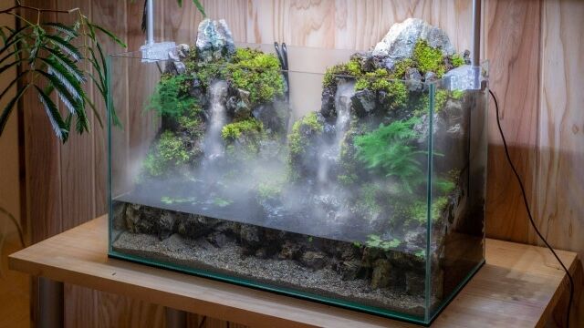 水槽の中の小さな絶景。霧の中に滝が流れるアクアテラリウムを 水槽の中の小さな絶景。霧の中に滝が流れるアクアテラリウムを