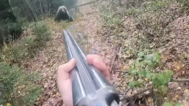 ���ƽƤ��ˤ��Ƥ��Ƥ��ݤ����롢������ǥ��ޤ����������ִ�