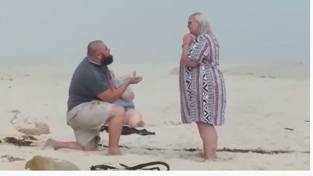 �ӡ����ǤΥ��ޥ���å��ʥץ��ݡ������ġĤ����������ˤʤ�