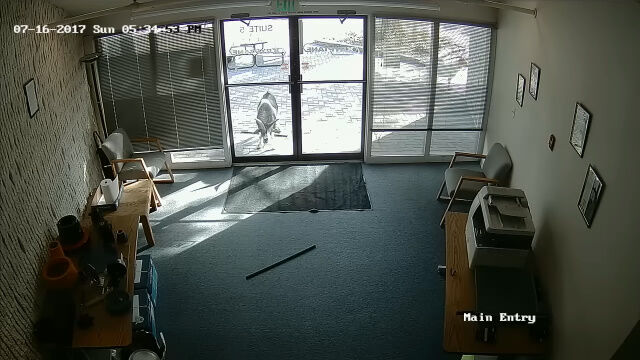出社したら割られていた、入口ドアのガラス。防犯カメラで確認した犯人の姿がこちら
