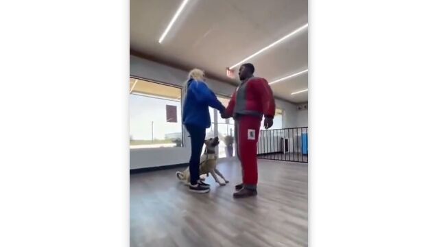 飼い主に近づく人物を観察し、危険が迫った時だけ反撃。よく訓練されたガードドッグが頼もしい