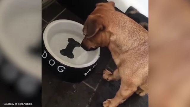 ��ꤿ���Τ˼��ʤ��������˸����������줺�˺��Ǥ��Ƥ��ޤ���