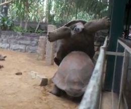 �虜�ȡ����ޤ��ޡ����̵�ꥯ���������夲�Ҥä����֤����̵�ꥯ����