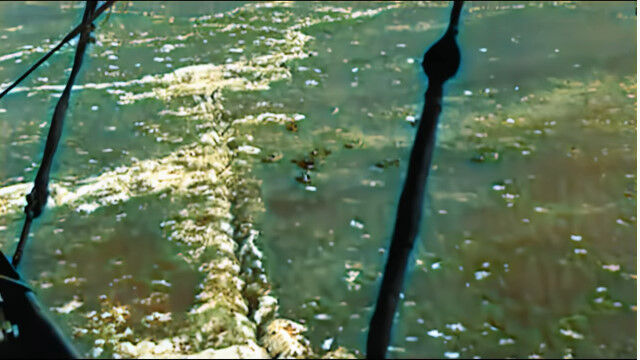 ��켡��������ν���ľ��˻��Ƥ��줿���٥륮���������į�᤿���ν���