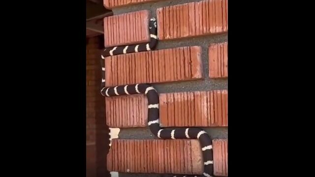 ��Ϥ�إӤΤ���˺��줿�����餢������