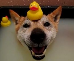 �����˿����ä���­�顢�Ƹ��Τ��ʤ�����