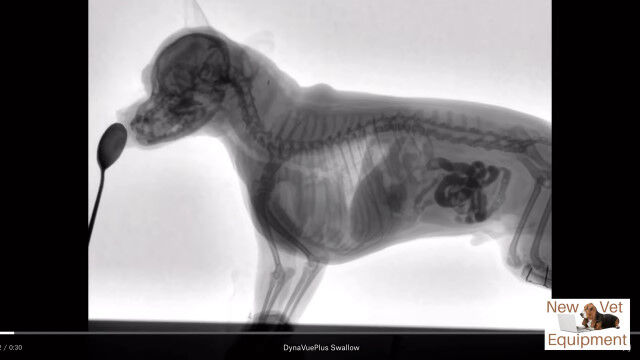 ������Ȥ��褯�狼�롣�����򿩤٤븤����ȥ��󻣱Ƥ�������