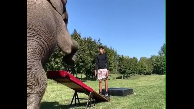 ��������˥�������Ƨ��Ǥ��ä��祸���ס��Ȥ����ȥ�å�