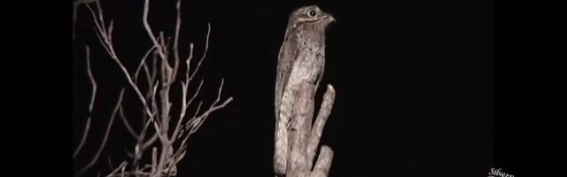 �ڤξ�ǻޤˤʤ꤭��Ļ�������西��