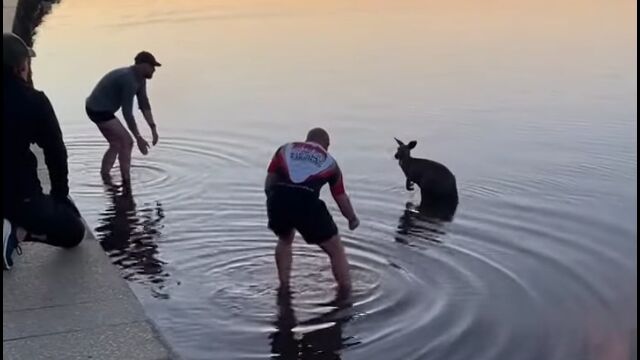 ƤĤФФʤ󥬥롼ʹ֤˵߽