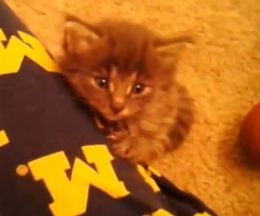 ĤޤΩĤĤ̲ƥեե餷㤦ǭ