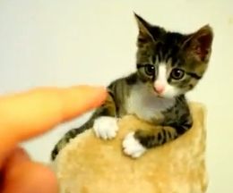 ư��������Ƥ����Ӥ����롢������ʻ�ǭ������