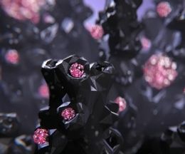 ���������Ф��ˤ����ɤ�졢������Ͷ��γ���������HINODE