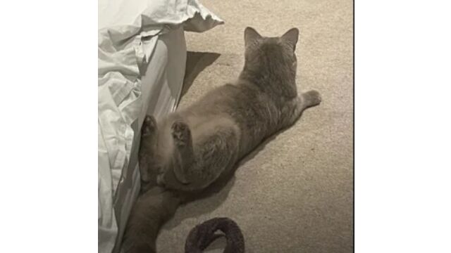 ����ä����̤���ʤ����������̤�ǭ