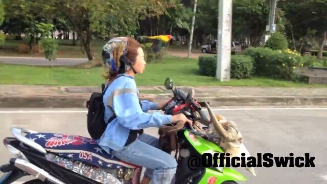 ����⤪���⡩�Х��������뤪�Ф�����¤�����֥ڥåȤ�Ļ