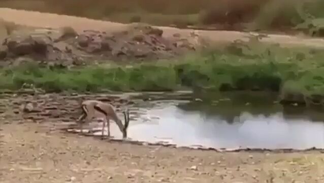 ǹȽϤȽȯϤ̯ʥեȤ򤫤æץ󥰥ܥå