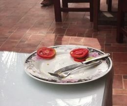 テーブルの上のトマトをこっそり盗むモノ