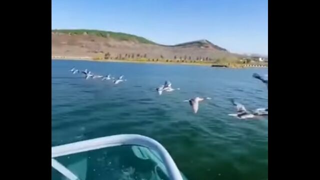 ��η���Ȱ�������Ǥ뵤ʬ��V������������Ԥ˥ܡ��Ȥǻ���