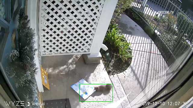 Amazon������ʪ����ߵ�äƤ�������������ꥹ���ȹԤνִ�